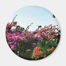 Bush With Purple Red And Orange Flowers Refrigerator Magnets