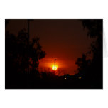 Bushfire Sunset In The Trees Greeting Cards