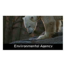 Business Card Environmental Agency