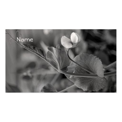 Business Card  Pea Vine 2