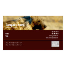 Business card profile hyenas safari