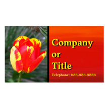 Business Card - Red-Yellow Tulip