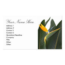 Business Card with Bird of Paradise Flower