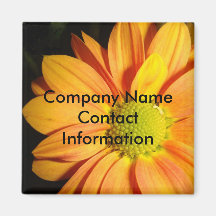 Business Magnet