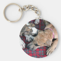 buster and jade key chain