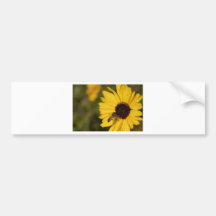 Busy Bee Bumper Stickers