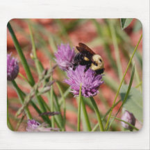 Busy Bee Mouse Pad