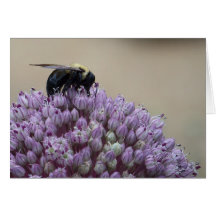 Busy Bee Note Card