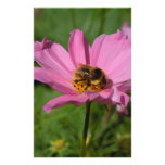 Busy Bee on Cosmo Personalized Stationery