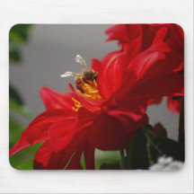 Busy Bee on Red Dahlia Mousepad