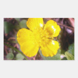 Buttercup Flower Rectangular Stickers