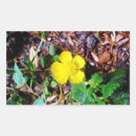 Buttercup Flower Rectangular Stickers