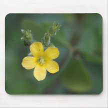 Buttercup Mouse Pad