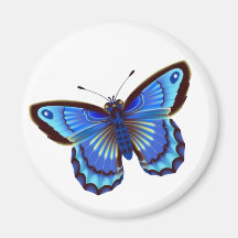 Butterfiy blue magnet
