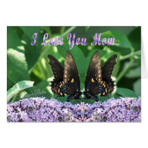 Butterflies and Mum Cards