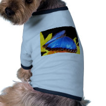 butterflies blue morpho butterfly pet clothes