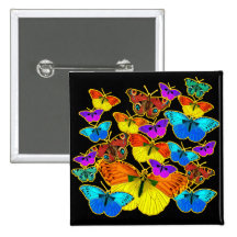 Butterflies! Butterflies!  Button