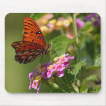 Butterflies, Butterfly Lovers Gifts mousepads