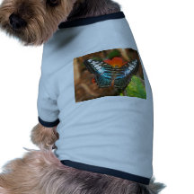 butterflies clipper pet tshirt