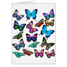 Butterflies Fluttering By Greeting Card