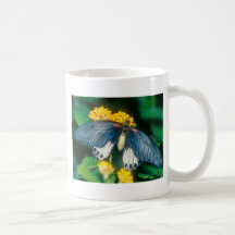 butterflies great mormon butterfly mugs