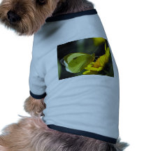 butterflies green catcher pet t-shirt