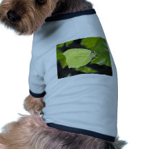 butterflies green leaf pet t-shirt