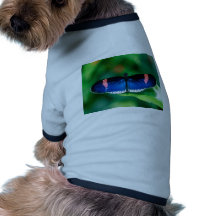butterflies heliconius erato doggie shirt