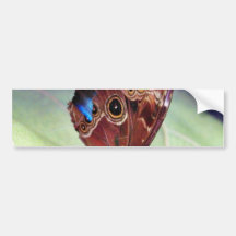 Butterflies Leaf Bumper Sticker