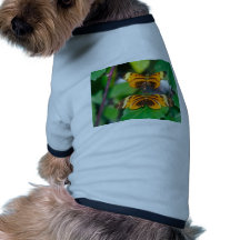 butterflies longwing butterfly pet t-shirt
