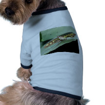 butterflies malachite butterfly florida dog tee