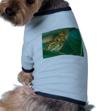 butterflies malachite butterfly pet tshirt