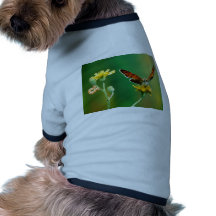 butterflies marvelous metamorphosis dog clothes