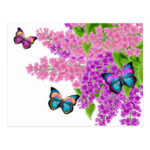 Butterflies on Lilacs Postcard