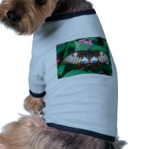 butterflies orchard butterfly dog tshirt