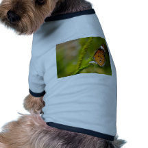 butterflies red admiral pet tee shirt