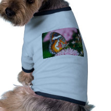 butterflies red lacewing butterfly dog clothes