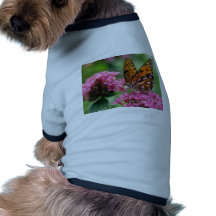 butterflies rounds social butterfly pet tee shirt