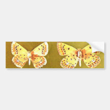 Butterflies Sticker Bumper Stickers
