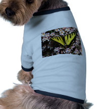 butterflies tiger swallowtail pet clothes