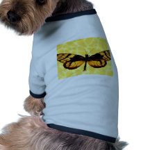 butterflies wings of gold doggie shirt