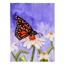 Butterfly 1 Postcard
