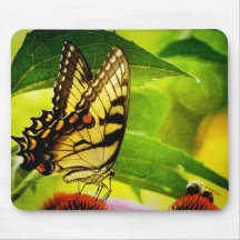 Butterfly and Bee Mousepad