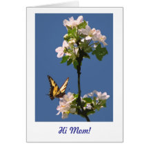 Butterfly and Blossoms for Mum Greeting Cards