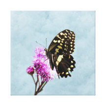 Butterfly and cloudy sky canvas prints
