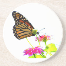Butterfly at the Buffet Coasters