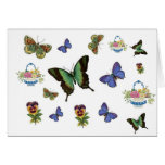 Butterfly Baskets Cards