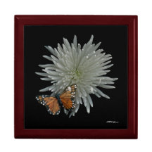 Butterfly Box Jewelry Boxes