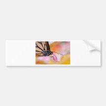Butterfly Bumper Stickers