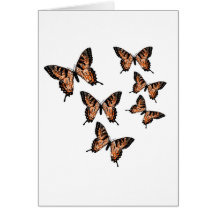 Butterfly Butterflies Greeting Cards